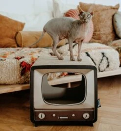 District 70 TELLY - Retro TV Krabmeubel - Instagrammable Kartonnen TV Voor Katten - 39 X 27 X 37 Cm 16 District 70 TELLY - Retro TV Krabmeubel - Instagrammable Kartonnen TV Voor Katten - 39 X 27 X 37 Cm -Dierenwinkel 1112x1200 2