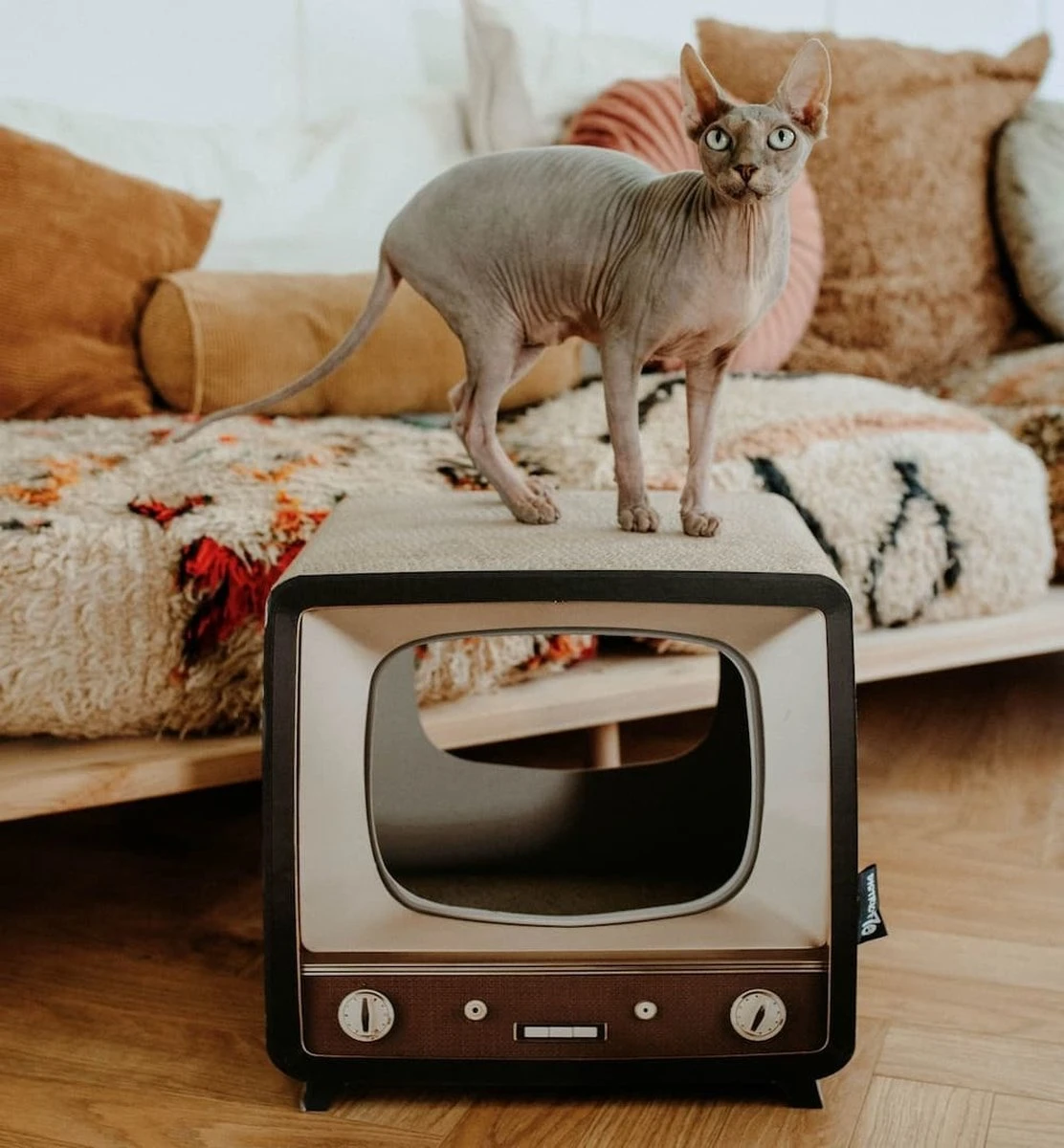 District 70 TELLY - Retro TV Krabmeubel - Instagrammable Kartonnen TV Voor Katten - 39 X 27 X 37 Cm 6 District 70 TELLY - Retro TV Krabmeubel - Instagrammable Kartonnen TV Voor Katten - 39 X 27 X 37 Cm - Afbeelding 6