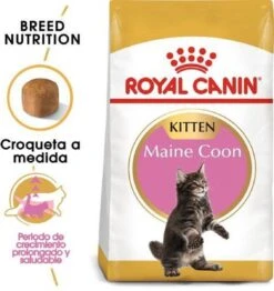 Royal Canin Maine Coon Kitten - Kattenvoer - 4 Kg -Dierenwinkel 1132x1200 4