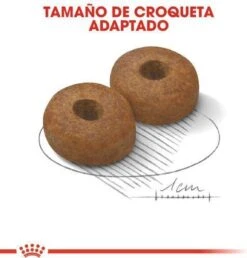 Royal Canin Maxi Ageing 8+ 15 KG -Dierenwinkel 1149x1200 1