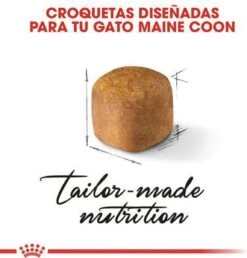 Royal Canin Maine Coon Kitten - Kattenvoer - 4 Kg -Dierenwinkel 1151x1200 1