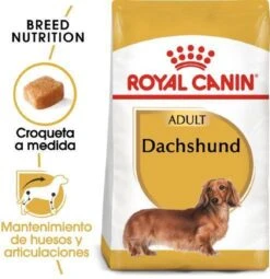 Royal Canin Dachshund/Teckel Adult 7.5 KG 19 Royal Canin Dachshund/Teckel Adult 7.5 KG -Dierenwinkel 1162x1200 1