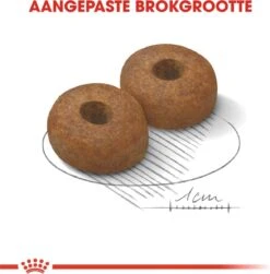 Royal Canin Maxi Ageing 8+ 15 KG -Dierenwinkel 1179x1200 1