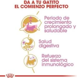 Royal Canin Maine Coon Kitten - Kattenvoer - 4 Kg -Dierenwinkel 1180x1200