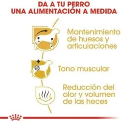 Royal Canin Dachshund/Teckel Adult 7.5 KG 20 Royal Canin Dachshund/Teckel Adult 7.5 KG -Dierenwinkel 1190x1200 2