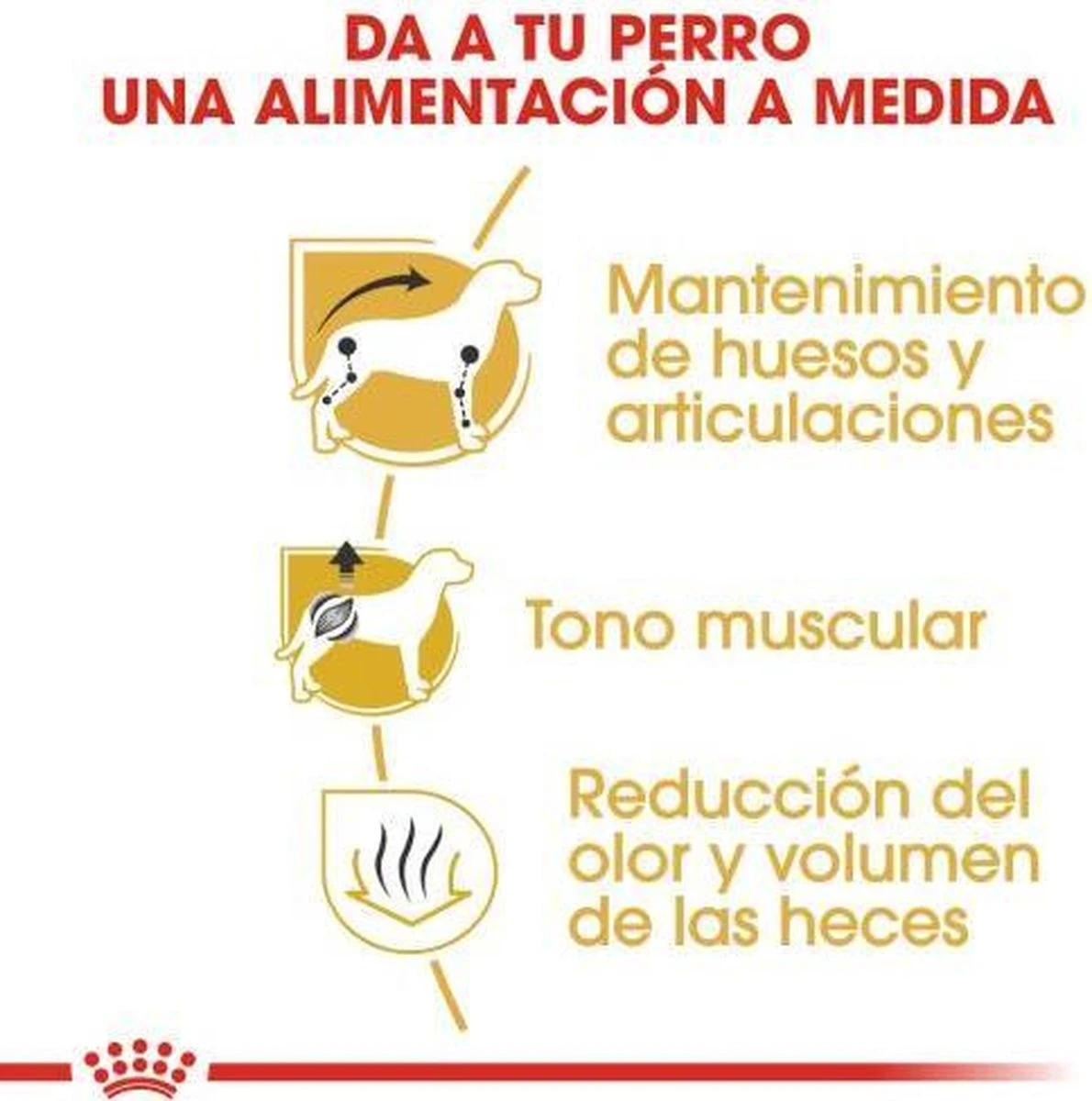 Royal Canin Dachshund/Teckel Adult 7.5 KG 7 Royal Canin Dachshund/Teckel Adult 7.5 KG - Afbeelding 7