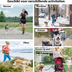Filo Elastische Hondenriem Middel - Hardlopen En Wandelen - Hardloopriem Hond Handsfree Met Heuptasje - Looplijn Met Heupriem - Canicross Gordel Honden - Riemen - Heupgordel - Leiband 15 Filo Elastische Hondenriem Middel - Hardlopen En Wandelen - Hardloopriem Hond Handsfree Met Heuptasje - Looplijn Met Heupriem - Canicross Gordel Honden - Riemen - Heupgordel - Leiband -Dierenwinkel 1198x1200 5