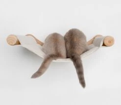 RHRQuality Wandmeubel Wandmontage Klimmuur Kat 53 X 43cm Luxe Hangmat XXL Creme Klim Wand Muur Krabpaal Katten Muurbevestiging -Dierenwinkel 1200x1041 3