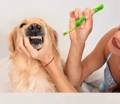 Merkloos Tandenborstel - Voor Huisdieren - Honden - 3 Zijdig - Multi-Hoek - Schoonmaken - Tanden - Slechte Adem - Tandsteen - Tandenborstel - Gezondheid - Blauw 9 Merkloos Tandenborstel - Voor Huisdieren - Honden - 3 Zijdig - Multi-Hoek - Schoonmaken - Tanden - Slechte Adem - Tandsteen - Tandenborstel - Gezondheid - Blauw -Dierenwinkel 1200x1042