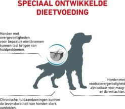 Royal Canin Anallergenic - Hondenvoer - 8 Kg -Dierenwinkel 1200x1045 1