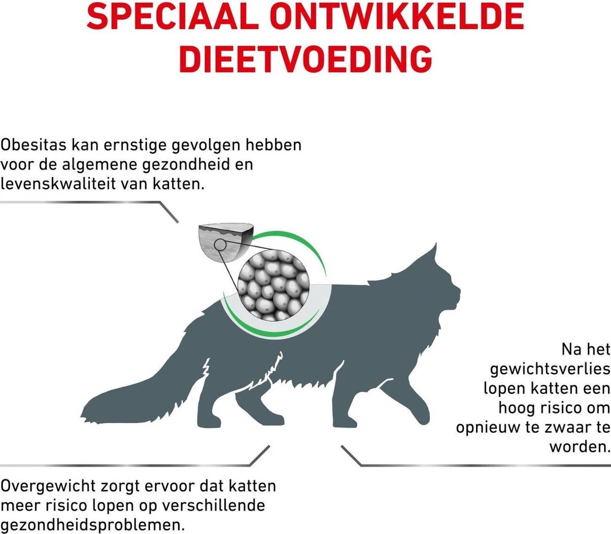 Royal Canin Satiety Weight Management - Kattenvoer - 6 Kg 4 Royal Canin Satiety Weight Management - Kattenvoer - 6 Kg - Afbeelding 4