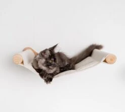 RHRQuality Wandmeubel Wandmontage Klimmuur Kat 53 X 43cm Luxe Hangmat XXL Creme Klim Wand Muur Krabpaal Katten Muurbevestiging -Dierenwinkel 1200x1080 3