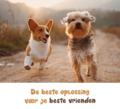 Dubbele Honden Riem – Leiband Hond – Hondenlijn – Looplijn Hond – 2 Honden – 3 Meter – Tot 12kg Per Hond – Reflecterende Lijnen – Met Zaklamp – 360° Draaien – Verstelbaar - Zwart -Dierenwinkel 1200x1087 2