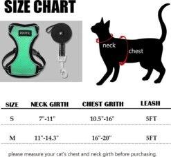 Kattentuigje Met Leiband Riem Kattenharnas Groen Maat M Kat & Kitten - Dieren Kattenriem - Cat Leash - Halsomvang 20 Tot 26cm - Borstomvang 30 Tot 34cm - Zootic® -Dierenwinkel 1200x1110