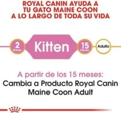 Royal Canin Maine Coon Kitten - Kattenvoer - 4 Kg -Dierenwinkel 1200x1127 1
