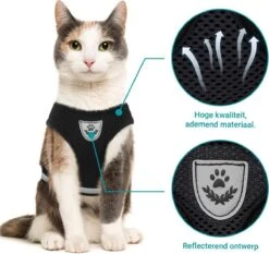 Merkloos Kattentuigje Met Looplijn | Zwart Kattenharnas | Easy Step In | Kattenriem | Kattenlijn | Kattentuig | Maat S -Dierenwinkel 1200x1131