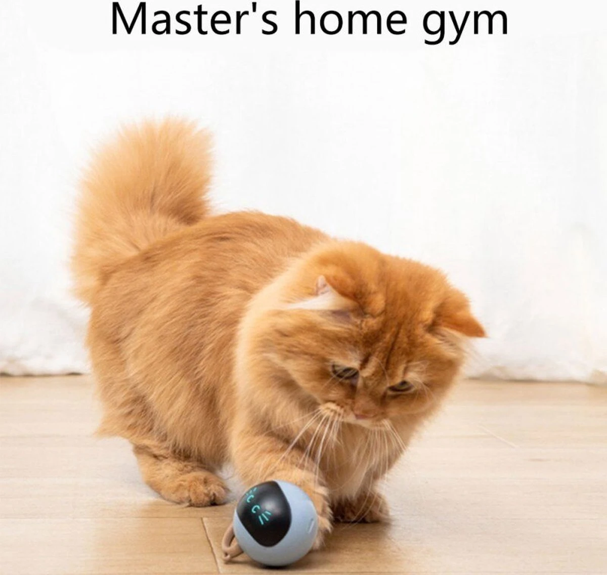 Otiume Interactieve Speelbal - Slimme Interactieve Jaag Speeltje Voor Katten - Kattenspeeltjes - Intelligente Jaagbal - AI -USB Oplaadbaar - LED - Blauw 3 Otiume Interactieve Speelbal - Slimme Interactieve Jaag Speeltje Voor Katten - Kattenspeeltjes - Intelligente Jaagbal - AI -USB Oplaadbaar - LED - Blauw - Afbeelding 3