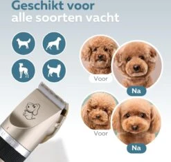 BYER Professionele Dieren Tondeuse Set - Voor Huisdieren Katten & Honden - Draadloos - Oplaadbare Pet Trimmer - Dog Tondeuze Clipper - 5 Standen & Vier Opzetkammen - Low Noise -Dierenwinkel 1200x1144 1