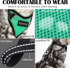 Kattentuigje Met Leiband Riem Kattenharnas Groen Maat M Kat & Kitten - Dieren Kattenriem - Cat Leash - Halsomvang 20 Tot 26cm - Borstomvang 30 Tot 34cm - Zootic® -Dierenwinkel 1200x1164 3