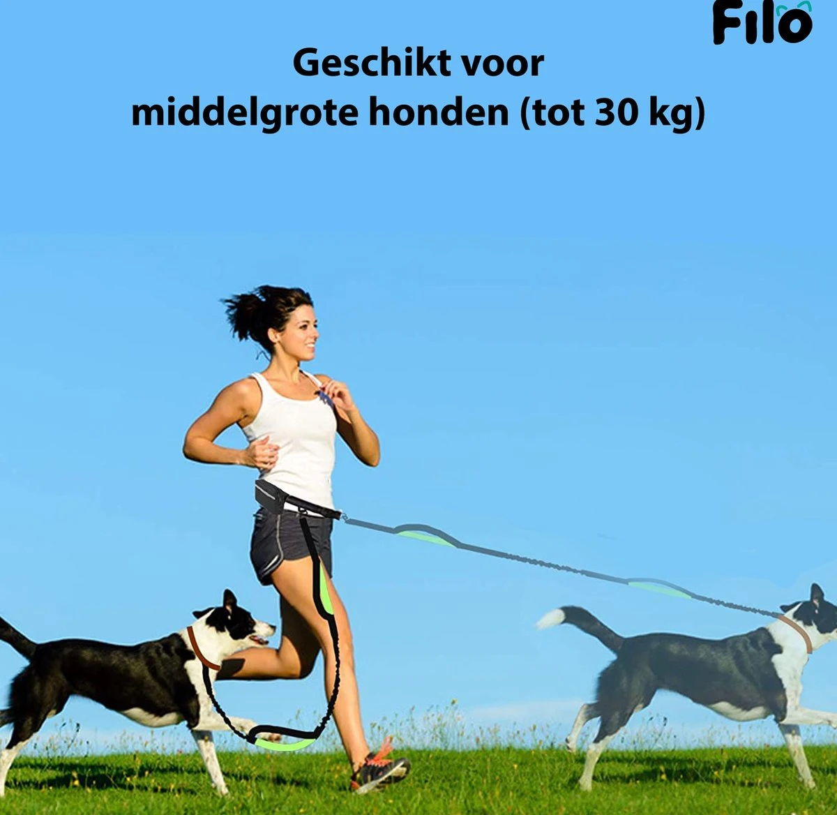 Filo Elastische Hondenriem Middel - Hardlopen En Wandelen - Hardloopriem Hond Handsfree Met Heuptasje - Looplijn Met Heupriem - Canicross Gordel Honden - Riemen - Heupgordel - Leiband 2 Filo Elastische Hondenriem Middel - Hardlopen En Wandelen - Hardloopriem Hond Handsfree Met Heuptasje - Looplijn Met Heupriem - Canicross Gordel Honden - Riemen - Heupgordel - Leiband - Afbeelding 2