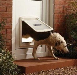 Staywell 777 Hondenluik - Large - Zilver/Tranparant -Dierenwinkel 1200x1168 3