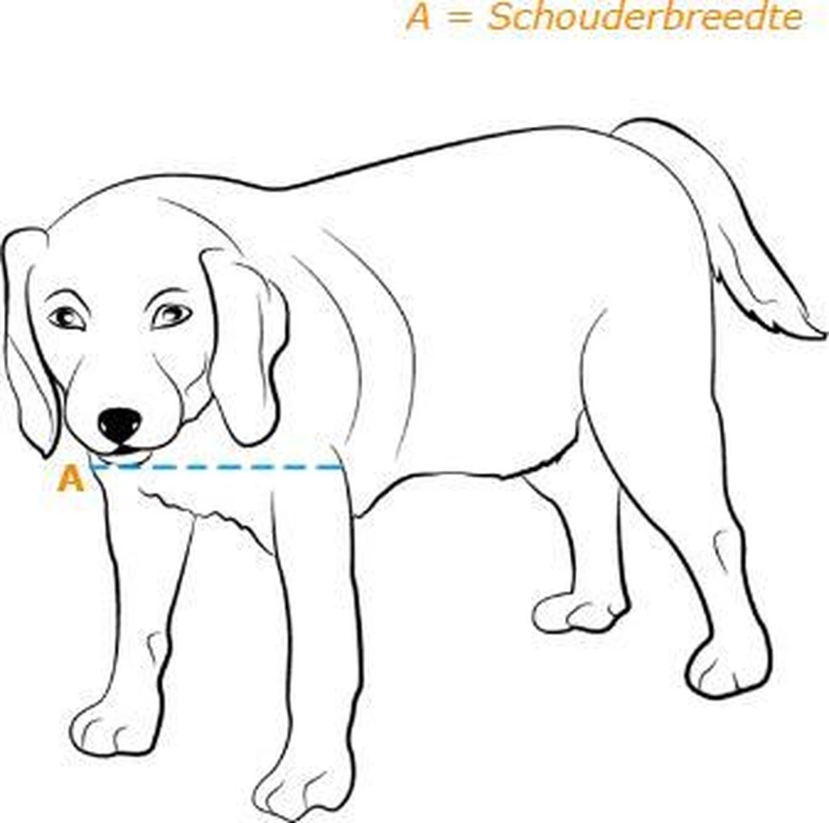 Petsafe 660 Hondenluik - Tot 100 Kg - Aluminium 4 Petsafe 660 Hondenluik - Tot 100 Kg - Aluminium - Afbeelding 4