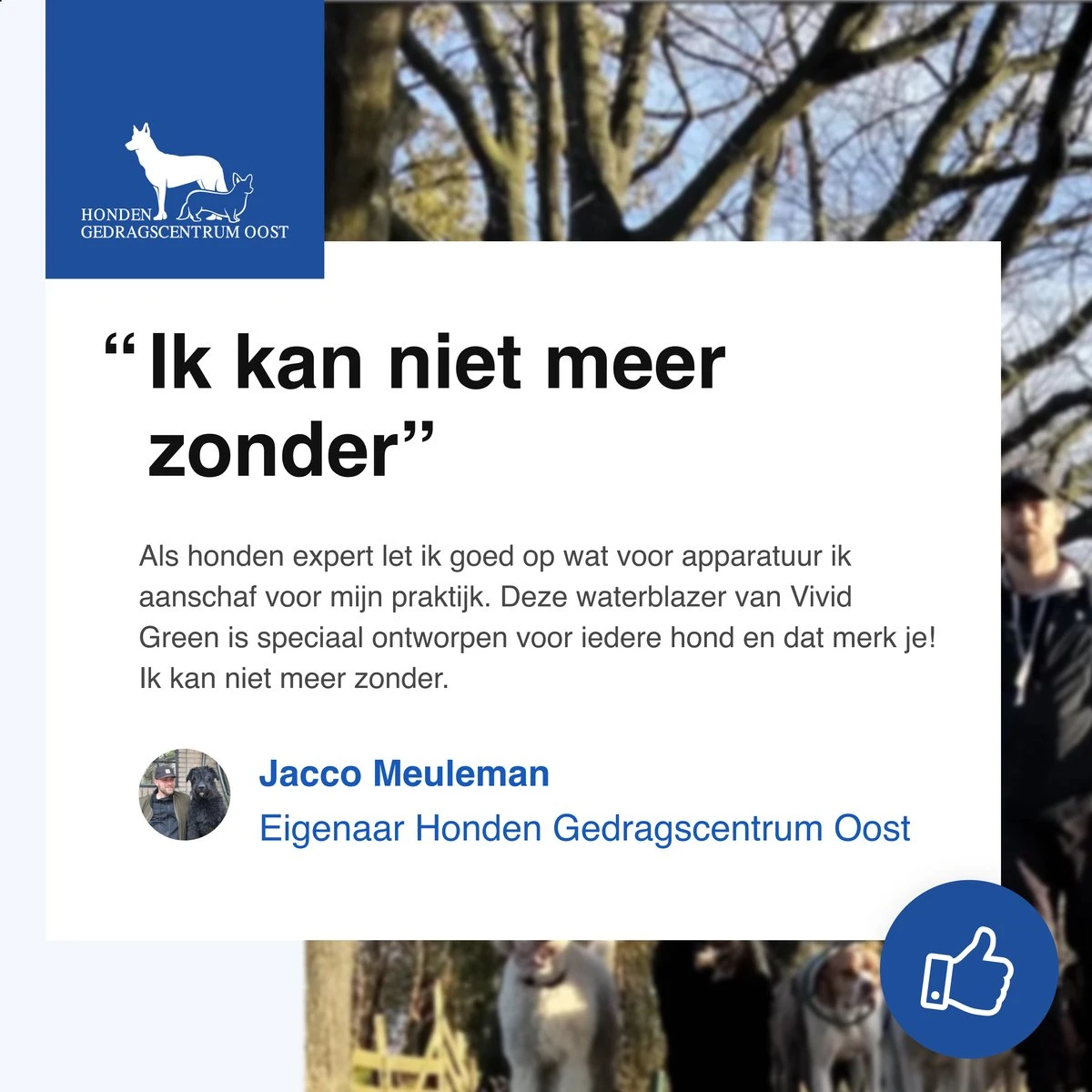 Vivid Green Waterblazer Met 3 Opzetstukken - Hondenfohn - Voor Honden - Met Geluiddemper - 2800W 11 Vivid Green Waterblazer Met 3 Opzetstukken - Hondenfohn - Voor Honden - Met Geluiddemper - 2800W - Afbeelding 11