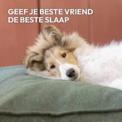 Snoozle Orthopedische Hondenmand - Zacht En Luxe Hondenkussen - Hondenbed - Wasbaar - Hondenmanden - 100 X 70 Cm - Stormy Grey -Dierenwinkel 1200x1200 126