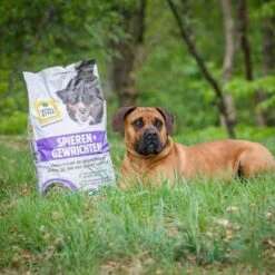 VITALstyle SPIEREN+GEWRICHTEN - Hondenbrokken - 12 Kg -Dierenwinkel 1200x1200 130