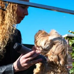 Clipr Ultimate 2-speed Hondentondeuse Op Accu -Dierenwinkel 1200x1200 142