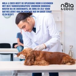 Nola & Coco® Tandsteen Verwijderaar Set Inclusief Bewaardoosje - Tandenkrabber - Set Van Twee - Hond - Kat - Tandenborstel - Tandplak Verwijderen - Tandenstoker - Honden Tanden Schoonmaken - Tandenhaakje - Gebitsreiniging -Dierenwinkel 1200x1200 166