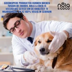 Nola & Coco® Tandsteen Verwijderaar Set Inclusief Bewaardoosje - Tandenkrabber - Set Van Twee - Hond - Kat - Tandenborstel - Tandplak Verwijderen - Tandenstoker - Honden Tanden Schoonmaken - Tandenhaakje - Gebitsreiniging -Dierenwinkel 1200x1200 167