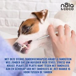 Nola & Coco® Tandsteen Verwijderaar Set Inclusief Bewaardoosje - Tandenkrabber - Set Van Twee - Hond - Kat - Tandenborstel - Tandplak Verwijderen - Tandenstoker - Honden Tanden Schoonmaken - Tandenhaakje - Gebitsreiniging -Dierenwinkel 1200x1200 169