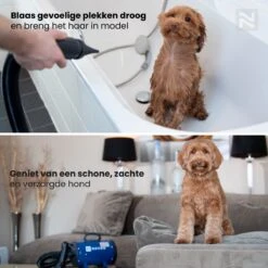 Nuvoo Professionele Hondenföhn / Waterblazer / Hondenborstel Met 3 Opzetstukken - Verstelbare Vermogen Tot 2200W - Warme / Koude Stand - Rood -Dierenwinkel 1200x1200 19