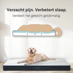 CozySense® - Orthopedisch Hondenkussen - Hondenkussen 100 X 70 Cm - Geschikt Als Benchkussen & Hondenbed - Hondenkussen Bank - Traagschuim - Waterdicht - Wasbare Hoes - Maat XL -Dierenwinkel 1200x1200 199