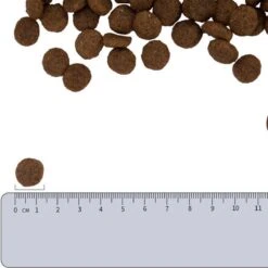 Vetality Hypoallergenic Hondenvoer - 10 Kg -Dierenwinkel 1200x1200 224