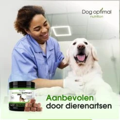 DOG OPTIMAL Gewricht Supplement 120 Stuks - Mobility - Glucosamine Hond - Artrose - Heupdysplasie - Gewrichten - Hondensnacks - Hondenkoekjes - Hondensupplementen - Honden - Puppy - Hondenvoeding -Dierenwinkel 1200x1200 233