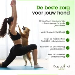 DOG OPTIMAL Gewricht Supplement 120 Stuks - Mobility - Glucosamine Hond - Artrose - Heupdysplasie - Gewrichten - Hondensnacks - Hondenkoekjes - Hondensupplementen - Honden - Puppy - Hondenvoeding -Dierenwinkel 1200x1200 235