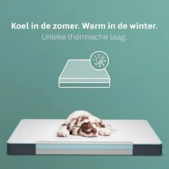 CozySense® - Orthopedisch Hondenkussen - Hondenkussen 90 X 55 Cm - Ook Geschikt Als Benchkussen & Hondenbed - Hondenkussen Bank - Traagschuim - Waterdicht - Wasbare Hoes - Maat L 11 CozySense® - Orthopedisch Hondenkussen - Hondenkussen 90 X 55 Cm - Ook Geschikt Als Benchkussen & Hondenbed - Hondenkussen Bank - Traagschuim - Waterdicht - Wasbare Hoes - Maat L -Dierenwinkel 1200x1200 241