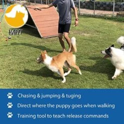 CF Pack - Hond Buitenspeelgoed Actief Behendigheid Touw Dog Flirt Pole Flirtpole Toy Tug Tease Wand Non-Bungee Cord Dog Toy For Fun Obedience Training Extandable Toy Honden Speelgoed Hondenspeelgoed Behendigheidspeelgoed -Dierenwinkel 1200x1200 250