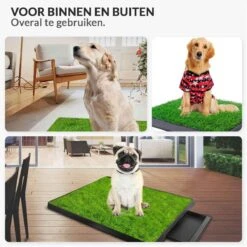 Merkloos Hondentoilet Kunstgras Met Bak - Indoor Dierentoilet - Uitneembare Opvangbak - Puppy Training Pets - Outdoor/Balkon/Tuin/Indoor Toilet - 50x64 Cm -Dierenwinkel 1200x1200 256