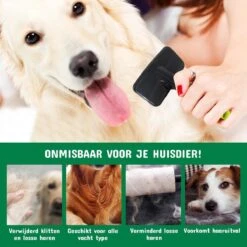 Mister Mill Professionele Set Slicker Honden Kattenborstel Plus Nagelknipper Plus Ondervacht Kam -Dierenwinkel 1200x1200 31