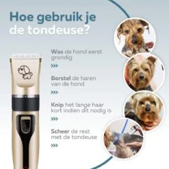 BYER Professionele Dieren Tondeuse Set - Voor Huisdieren Katten & Honden - Draadloos - Oplaadbare Pet Trimmer - Dog Tondeuze Clipper - 5 Standen & Vier Opzetkammen - Low Noise -Dierenwinkel 1200x1200 330