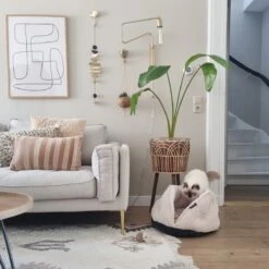 District 70 TUCK - Luxe & Comfortabele Mand Kleine Honden - Terra, Donkergrijs & Zand - 50x50x30 Cm - Zand -Dierenwinkel 1200x1200 332