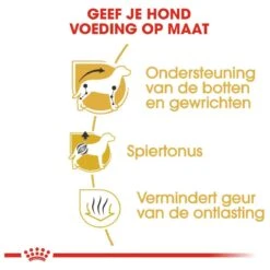 Royal Canin Dachshund/Teckel Adult 7.5 KG 17 Royal Canin Dachshund/Teckel Adult 7.5 KG -Dierenwinkel 1200x1200 357