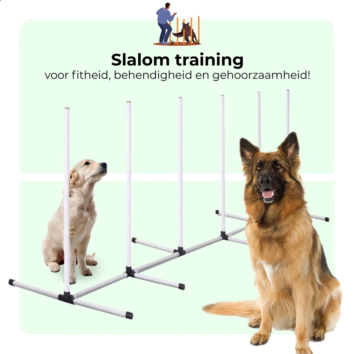 AYOO Agility Voor De Hond - Honden Training - Honden Behendigheid Set - Hondenparcours - Training Huisdieren - Honden Agility Set - Slalom - Horde - Draagzak - Agility Set - Oranje - Wit - GRATIS Speeltouw 5 AYOO Agility Voor De Hond - Honden Training - Honden Behendigheid Set - Hondenparcours - Training Huisdieren - Honden Agility Set - Slalom - Horde - Draagzak - Agility Set - Oranje - Wit - GRATIS Speeltouw - Afbeelding 5