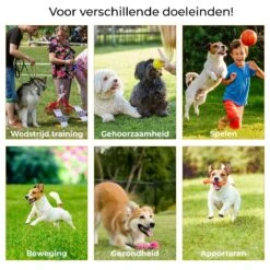 AYOO Agility Voor De Hond - Honden Training - Honden Behendigheid Set - Hondenparcours - Training Huisdieren - Honden Agility Set - Slalom - Horde - Draagzak - Agility Set - Oranje - Wit - GRATIS Speeltouw 14 AYOO Agility Voor De Hond - Honden Training - Honden Behendigheid Set - Hondenparcours - Training Huisdieren - Honden Agility Set - Slalom - Horde - Draagzak - Agility Set - Oranje - Wit - GRATIS Speeltouw -Dierenwinkel 1200x1200 370