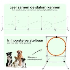 AYOO Agility Voor De Hond - Honden Training - Honden Behendigheid Set - Hondenparcours - Training Huisdieren - Honden Agility Set - Slalom - Horde - Draagzak - Agility Set - Oranje - Wit - GRATIS Speeltouw 15 AYOO Agility Voor De Hond - Honden Training - Honden Behendigheid Set - Hondenparcours - Training Huisdieren - Honden Agility Set - Slalom - Horde - Draagzak - Agility Set - Oranje - Wit - GRATIS Speeltouw -Dierenwinkel 1200x1200 371