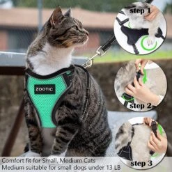 Kattentuigje Met Leiband Riem Kattenharnas Groen Maat M Kat & Kitten - Dieren Kattenriem - Cat Leash - Halsomvang 20 Tot 26cm - Borstomvang 30 Tot 34cm - Zootic® -Dierenwinkel 1200x1200 410