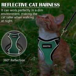 Kattentuigje Met Leiband Riem Kattenharnas Groen Maat M Kat & Kitten - Dieren Kattenriem - Cat Leash - Halsomvang 20 Tot 26cm - Borstomvang 30 Tot 34cm - Zootic® -Dierenwinkel 1200x1200 411